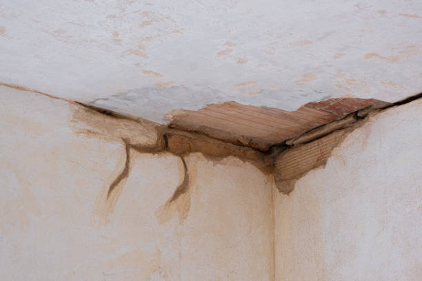 Reliable West Newton, PA Water damage restoration Solutions