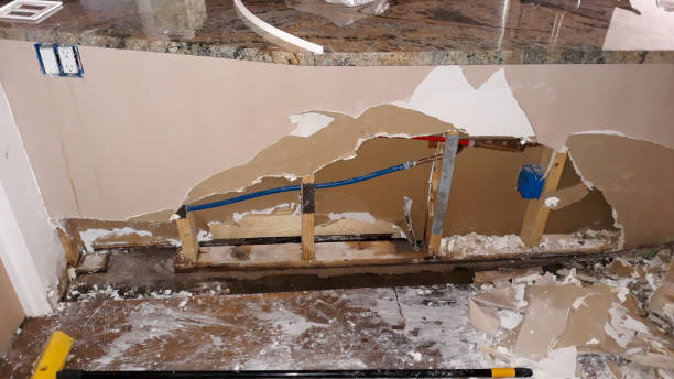 Best Basement water damage restoration  in West Newton, PA