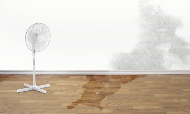 Best Water damage contractors near me  in West Newton, PA