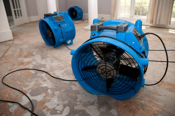 Best Professional water damage repair  in West Newton, PA