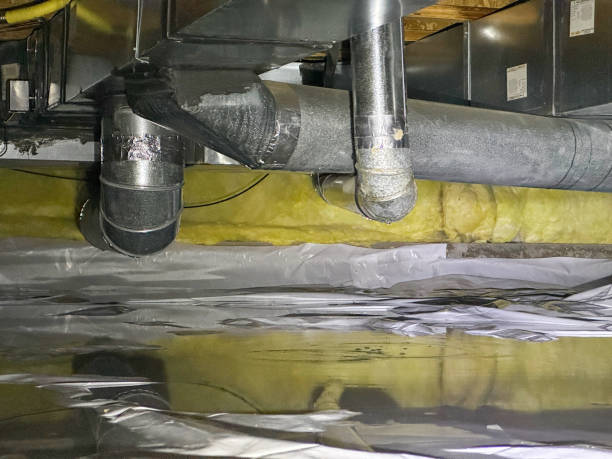 Best Water damage restoration near me  in West Newton, PA