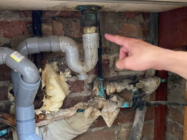 Best Water damage restoration services  in West Newton, PA