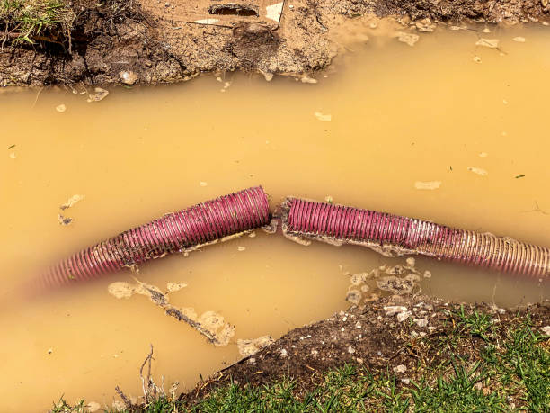Best Water damage restoration process  in West Newton, PA