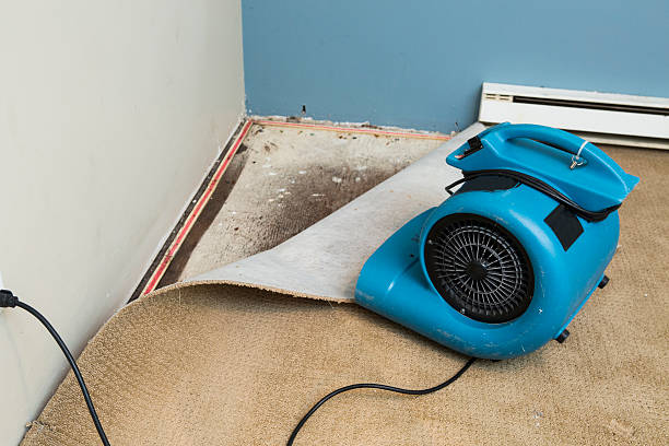 Best 24/7 water damage repair  in West Newton, PA